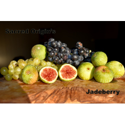 Jadeberry