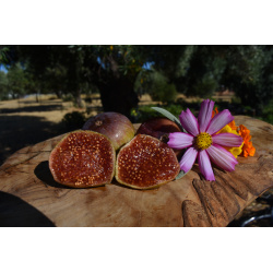 Raspberry Jelly Roll