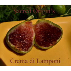 Crema Di Lamponi