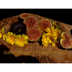 Pacheco Peach