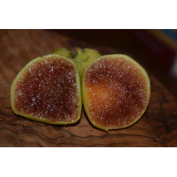 Strawberry Guava