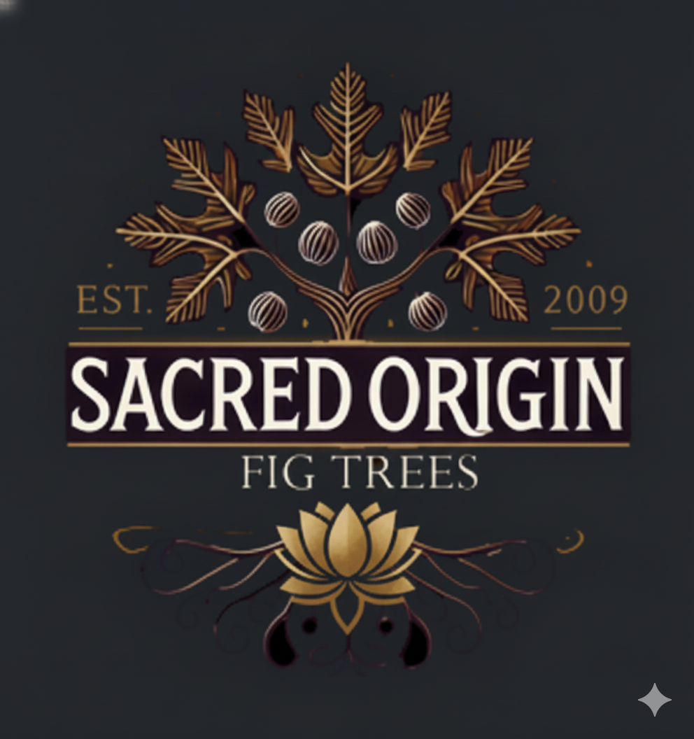 Sacred Origin